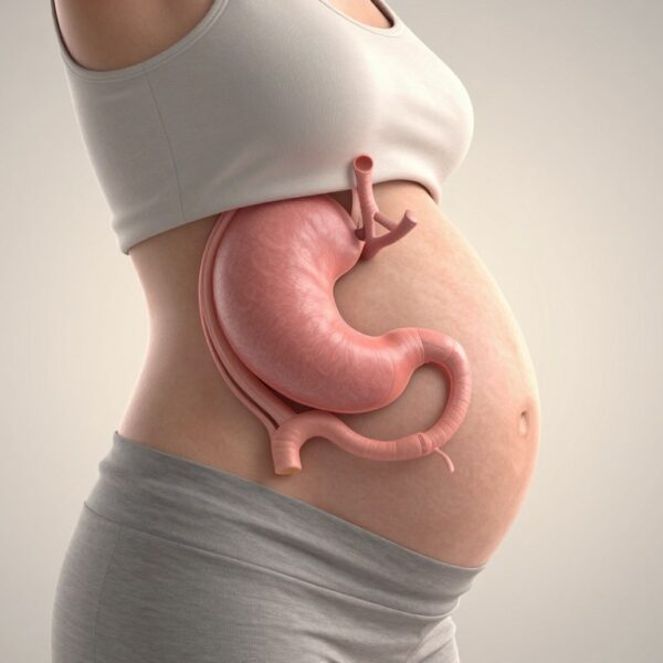 Gdzie jest żołądek w ciąży
